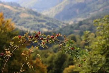 В Україні завтра без опадів, вдень до +23°