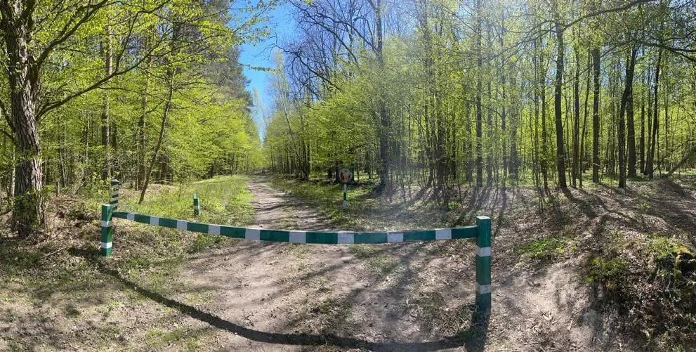 З лісгоспу на Тернопільщині стягнуть понад 850 000 грн за незаконну рубку дерев