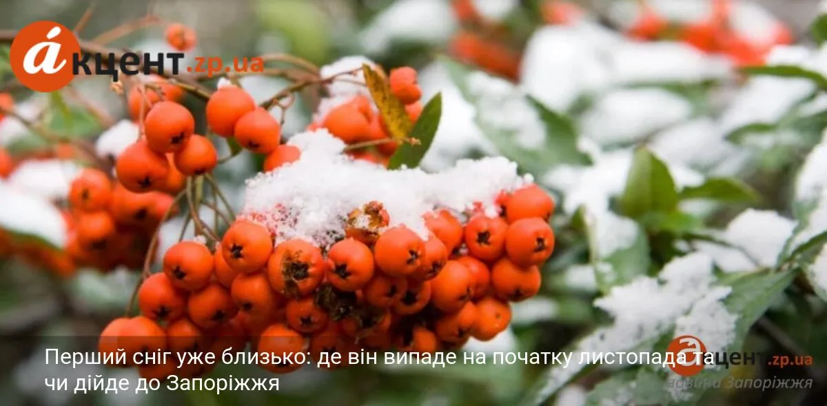 Перший сніг уже близько: де він випаде на початку листопада та чи дійде до Запоріжжя