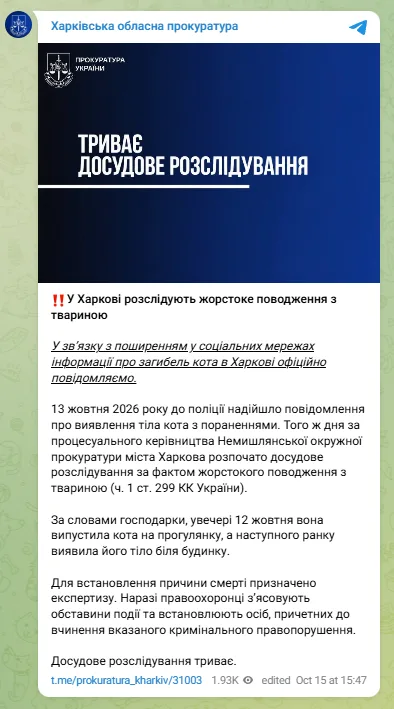 скрін