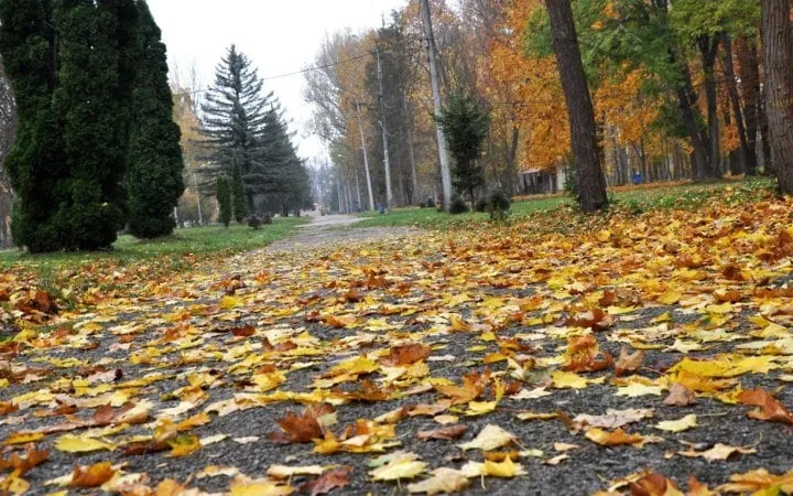 У вівторок в Україні без опадів, денний максимум +21°