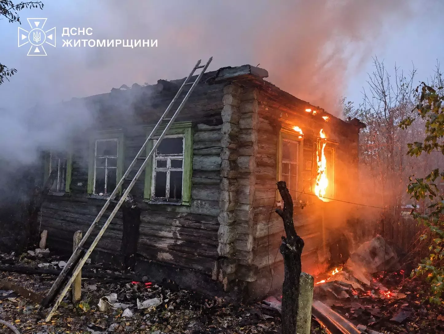 Рятувальники та лісівники гасять пожежу