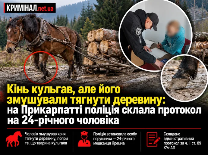 Кінь кульгав, але його змушували тягнути деревину: на Прикарпатті поліція склала протокол на 24-річного чоловіка