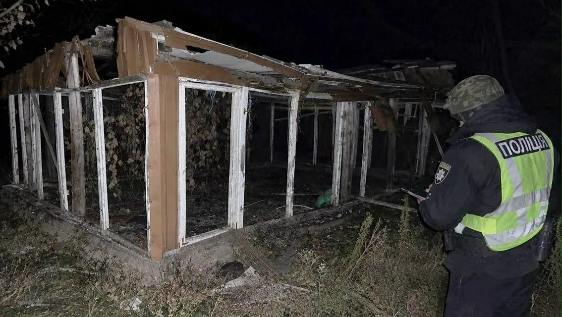 На Чернігівщині БпЛА «молнія» вдарив біля домогосподарства: пошкоджено паркан і вулики (Фото)