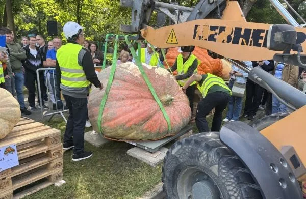 У Польщі виростили гарбуз вагою 918 кг – це новий національний рекорд