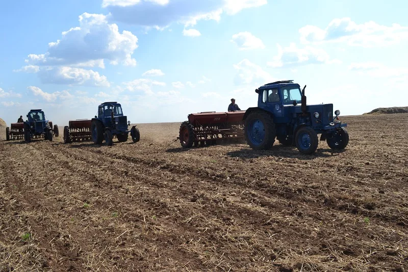 Посівна набирає обертів: в Україні найбільше засіяли на Миколаївщині