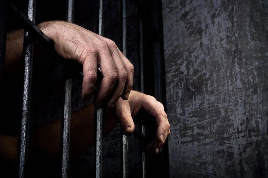 Інженера санаторію з Дрогобича засудили через смерть працівника від займання бензокоси