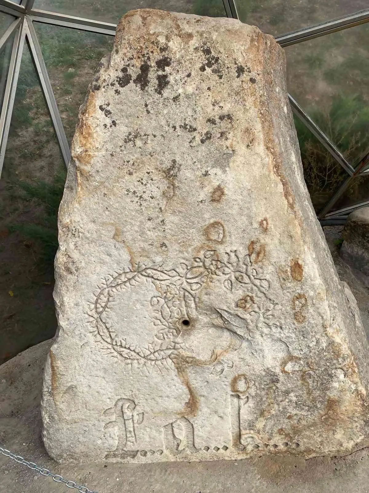 82535142043357_268952803545161491_n