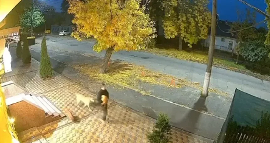Гарбуз до Гелловіну знову вкрали в центрі Миколаєва