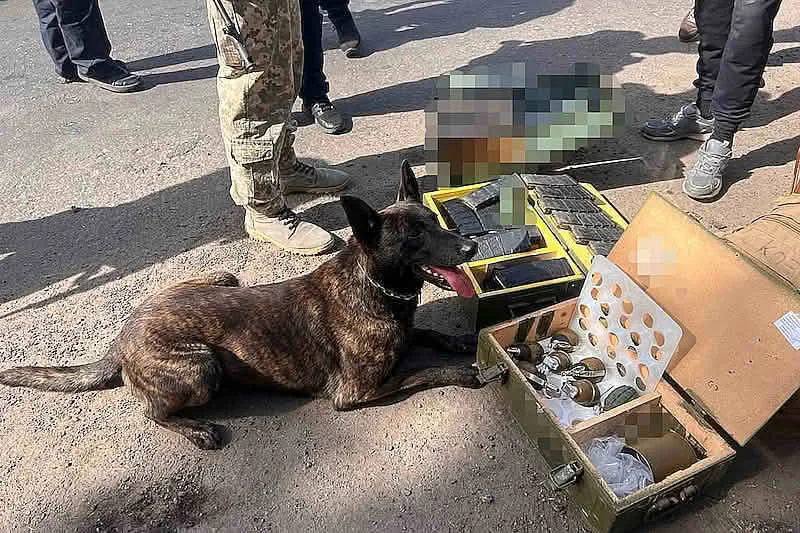 Слобожанські «Скіфи» попередили ввезення до Харкова понад 100 кг небезпечної вибухівки.
