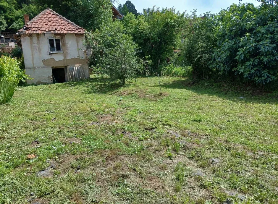 На берегу Дуная продают дом всего за 10 тысяч евро: в чем подвох (фото)