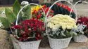 Могила Анатолия Кашпировского