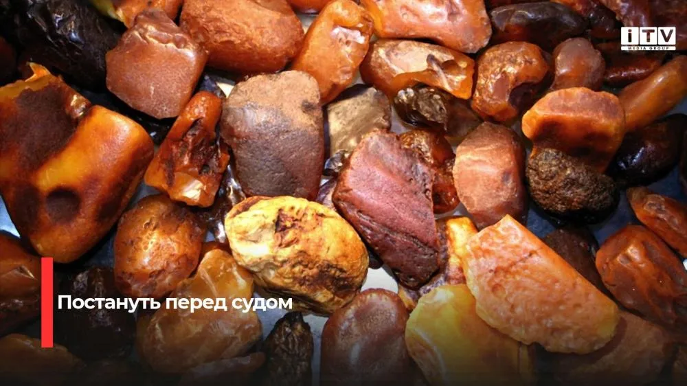 Незаконний видобуток у заповіднику та перевезення: перед судом постануть двоє жителів Рівненщини