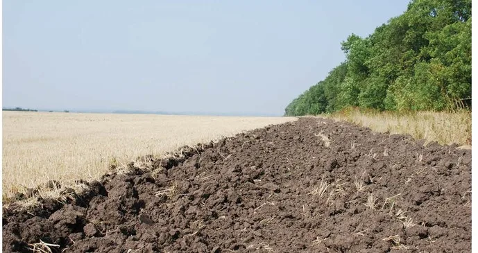 Експертка розповіла, з чого розпочинати роботу над відновленням родючості ґрунтів