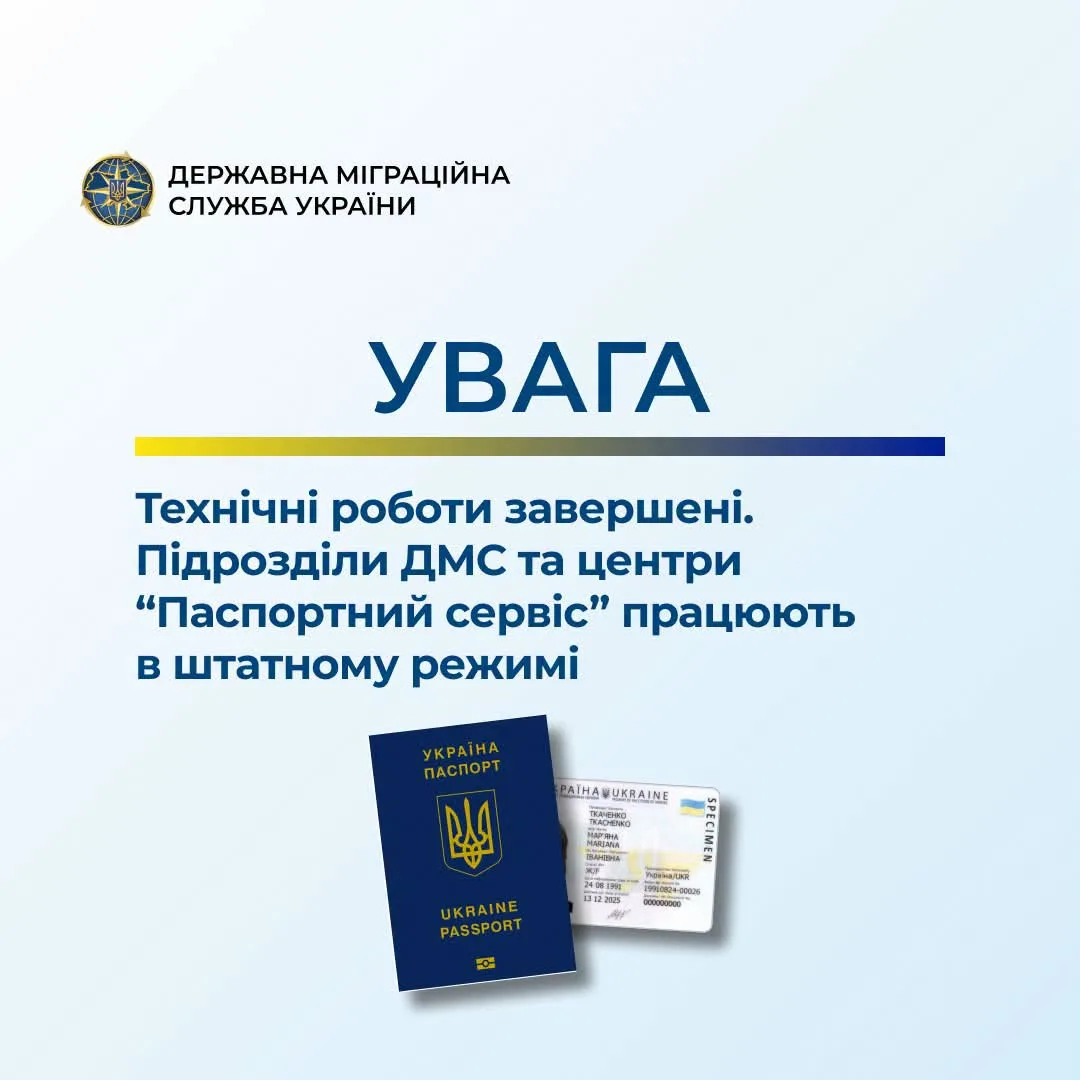 ДМС відновила роботу після технічних робіт