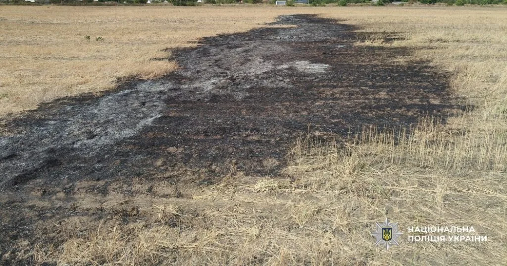 У Бессарабській громаді притягнуть до відповідальності палія, внаслідок дій якого вигоріло поле