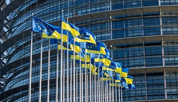 ЄС пропонує обмежити доступ України до сільськогосподарських субсидій після приєднання — FT