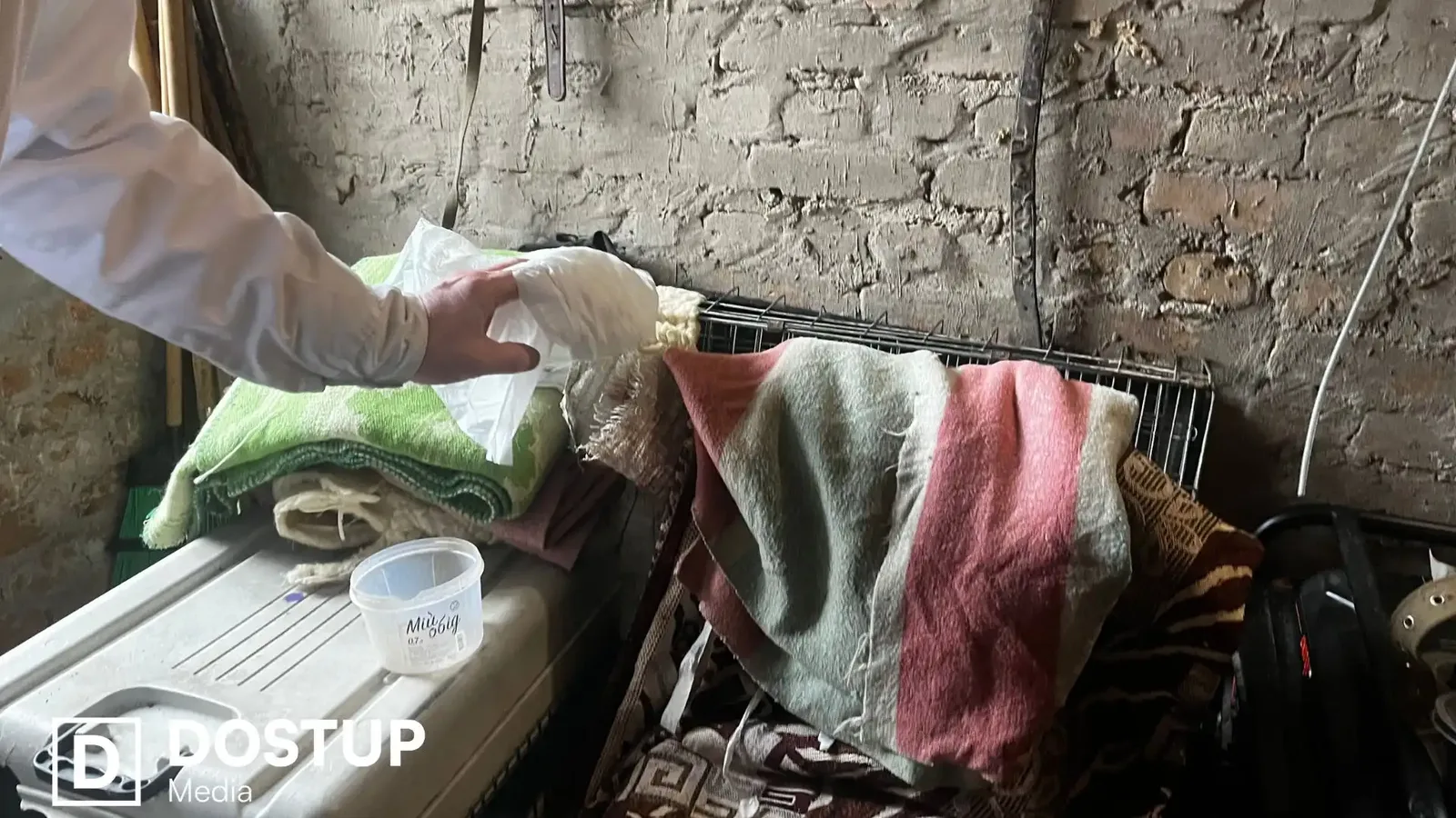 “Ситуацію потрібно терміново вирішувати”: що відбувається із безпритульними собаками після стерилізації у Кропивницькому