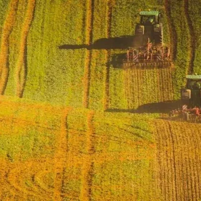 Урожайність зернових на Вінниччині впала на 8 центнерів з гектара: як тривають жнива