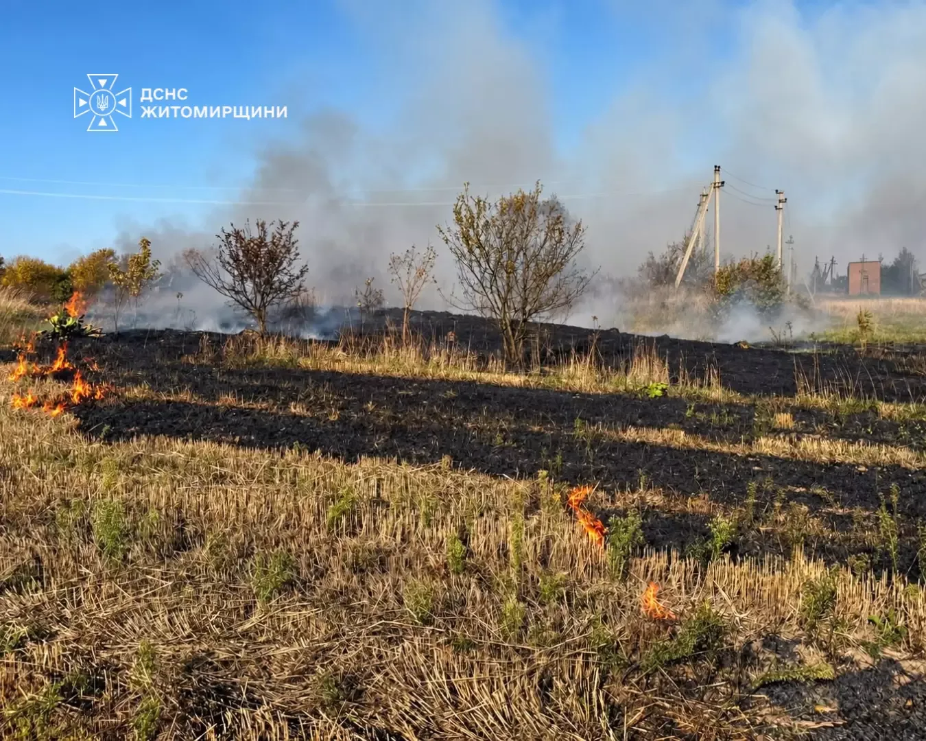 Наслідки пожежі сухої трави на відкритій території