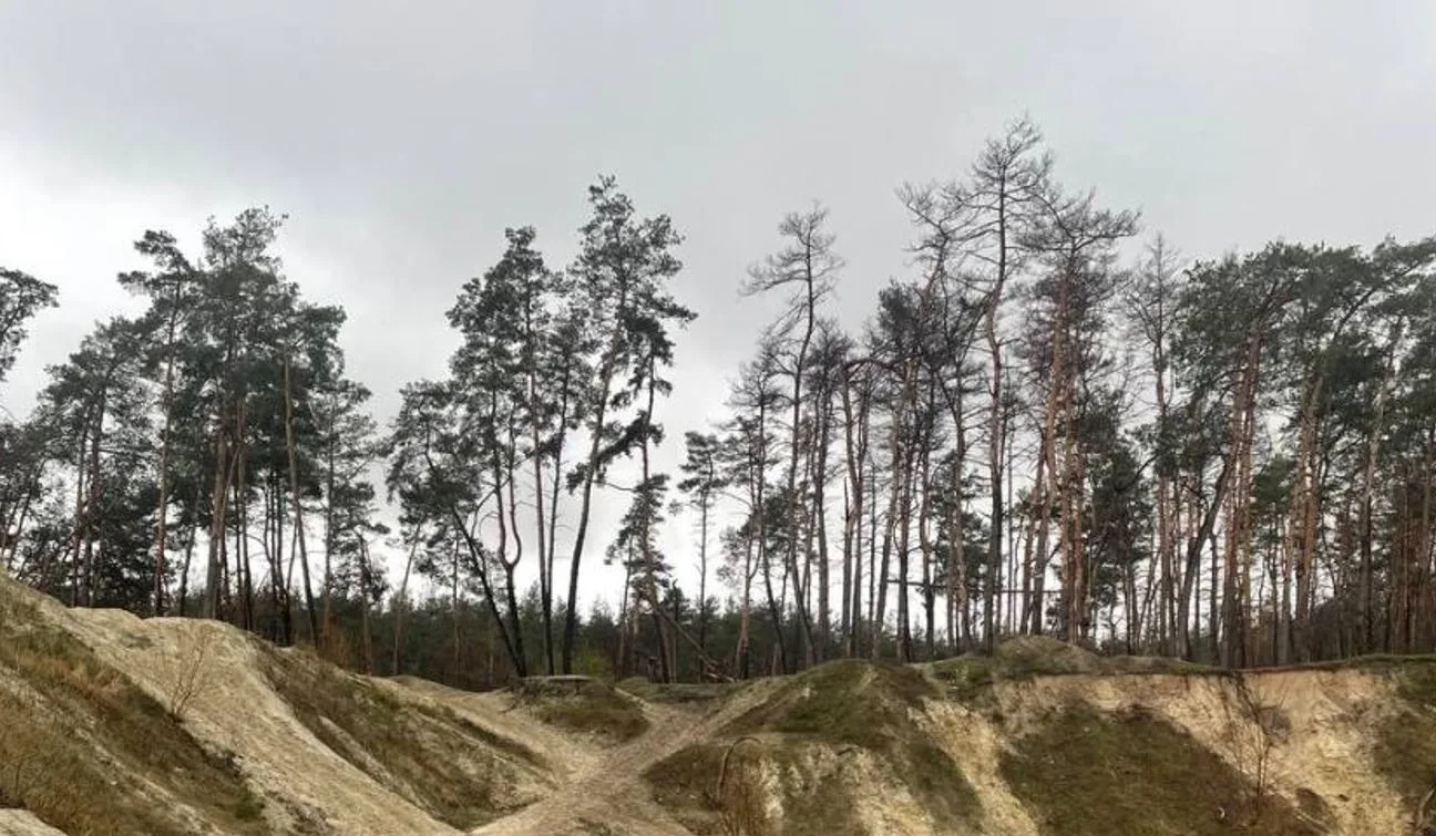 У Харкові з'явиться новий заказник: мерія підтримала ініціативу волонтерів