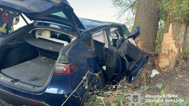 Поблизу Кременчука Tesla врізалася в дерево: травмовані водійка, пасажирка та двоє 10-річних дітей