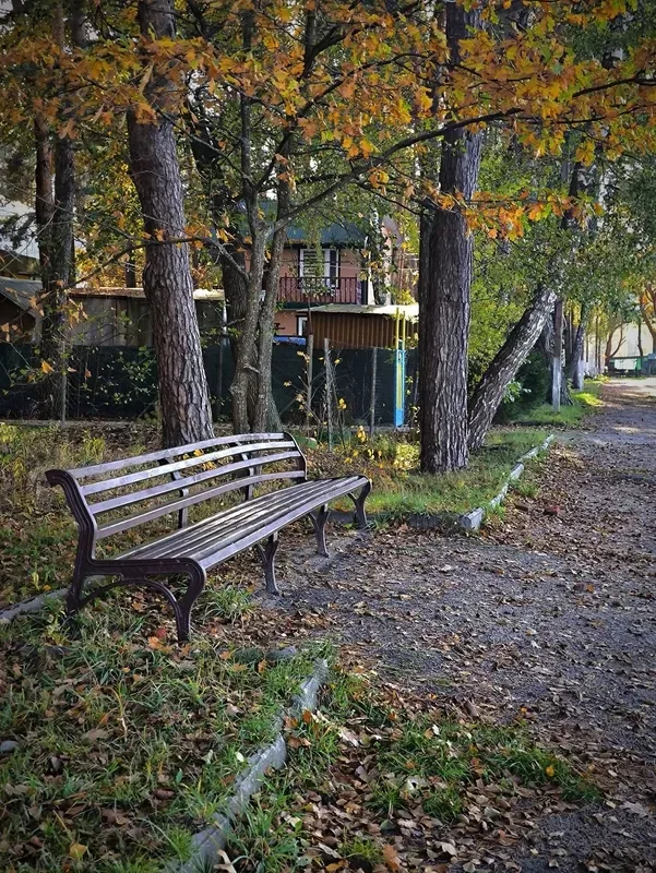 Осінній спокій озера Пісочне у Ковельському районі (фото)