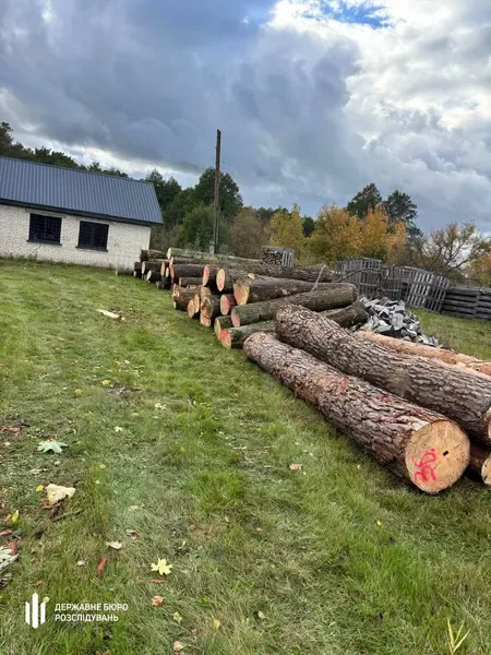 На Волині ДБР повідомило про підозру лісничому за незаконні рубки зі збитками понад 6,5 млн грн (фото)