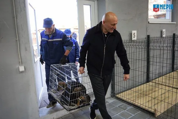 У черкаському Центрі допомоги тваринам облаштували тепле приміщення