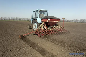 В Україні озимими зерновими засіяли вже понад 2,5 мільйона гектарів