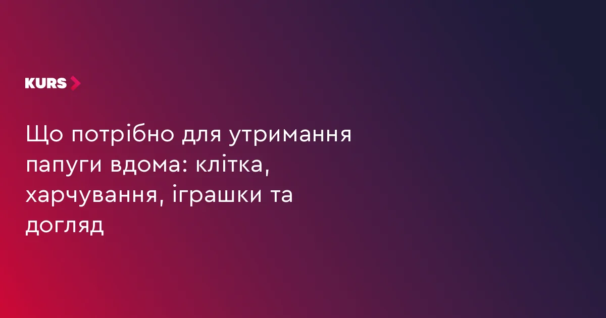 Що потрібно для утримання папуги вдома: клітка, харчування, іграшки та догляд