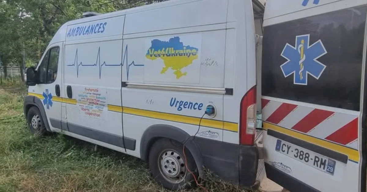 Французькі ветеринари розпочали двотижневу кампанію зі стерилізації тварин у трьох районах Одещини