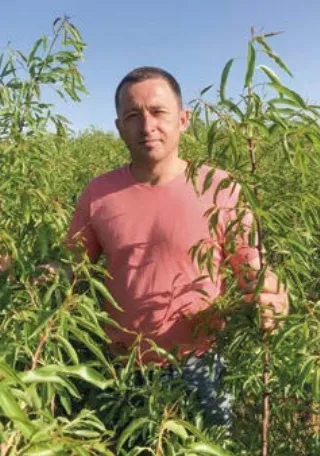 Мигдаль у Бессарабії росте краще, ніж в Іспанії: селекціонер Володимир Балабан розкрив секрети прибуткового бізнесу