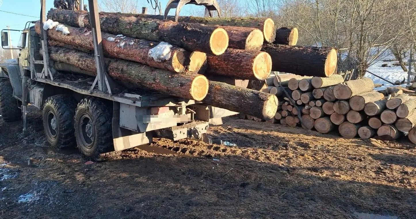 На Тернопільщині судитимуть шістьох спільників за рубку лісу в заповіднику