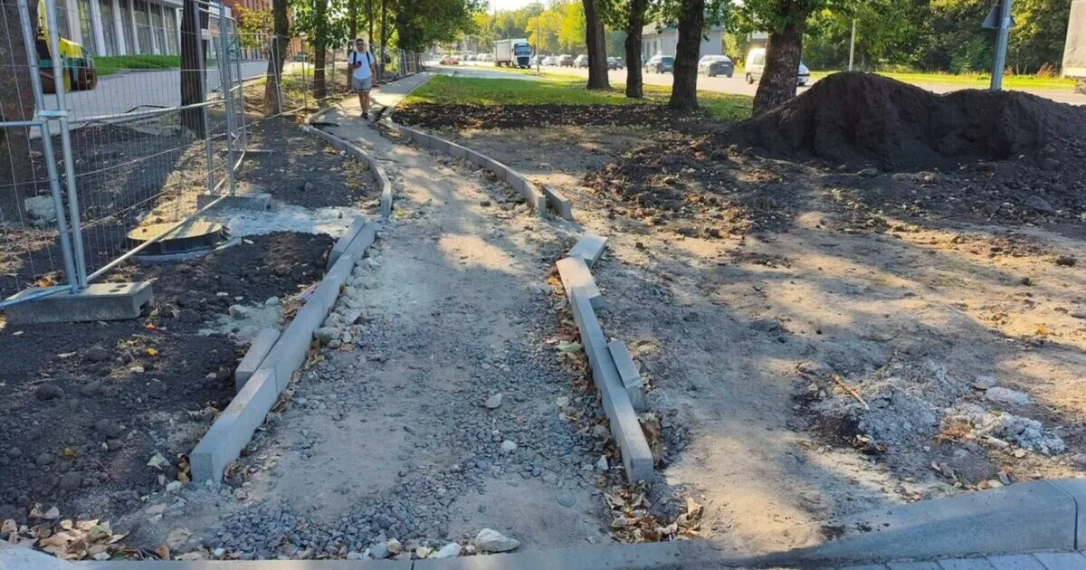 Львівські підприємці розбирають бруківку навколо дерев на Липинського-Промисловій