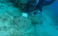 В Турции обнаружили корабль возрастом до 4700 лет