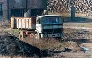Ученые обнаружили странное явление вблизи ЧАЭС