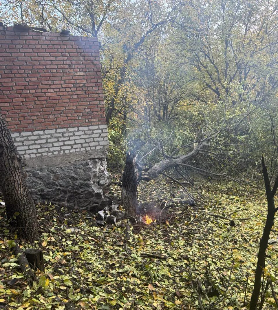 На зображенні може бути: вогонь і дерево