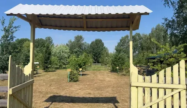 Єдиний в області: у селі на Волині створили унікальний шкільний дендропарк та «зелений клас» (фото)