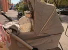 Син Соломії Вітвіцької