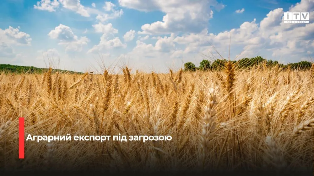 Польща та Румунія відмовилися розширювати транзит українського зерна