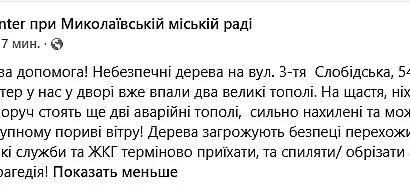 Тополі впали на припарковані автомобілі у дворі на 3-й Слобідській у Миколаєві
