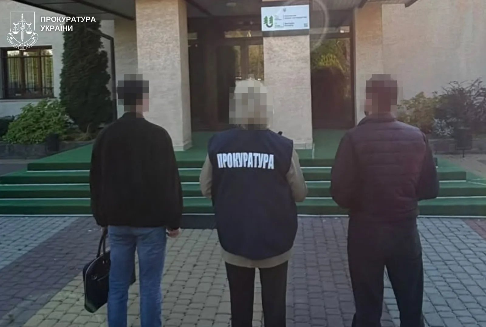 На Стрийщині у ландшафтному заказнику незаконно зрубали 28 ялин