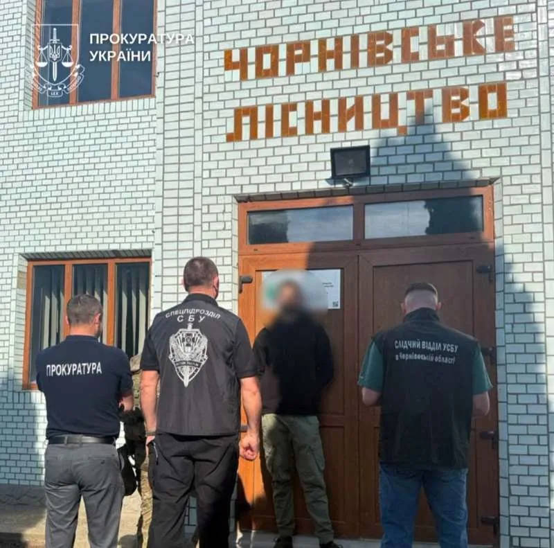 Деревину на десятки мільйонів вивозили з держпідприємства на Буковині