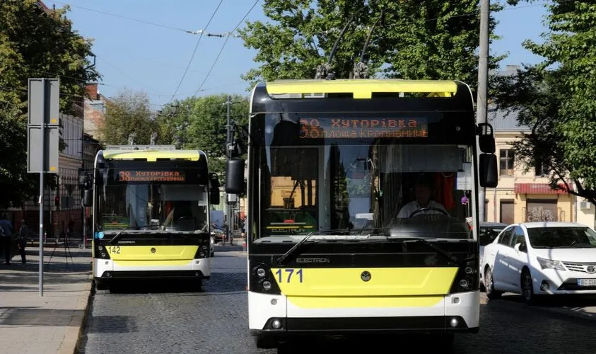 У Львові дерево зупинило тролейбуси