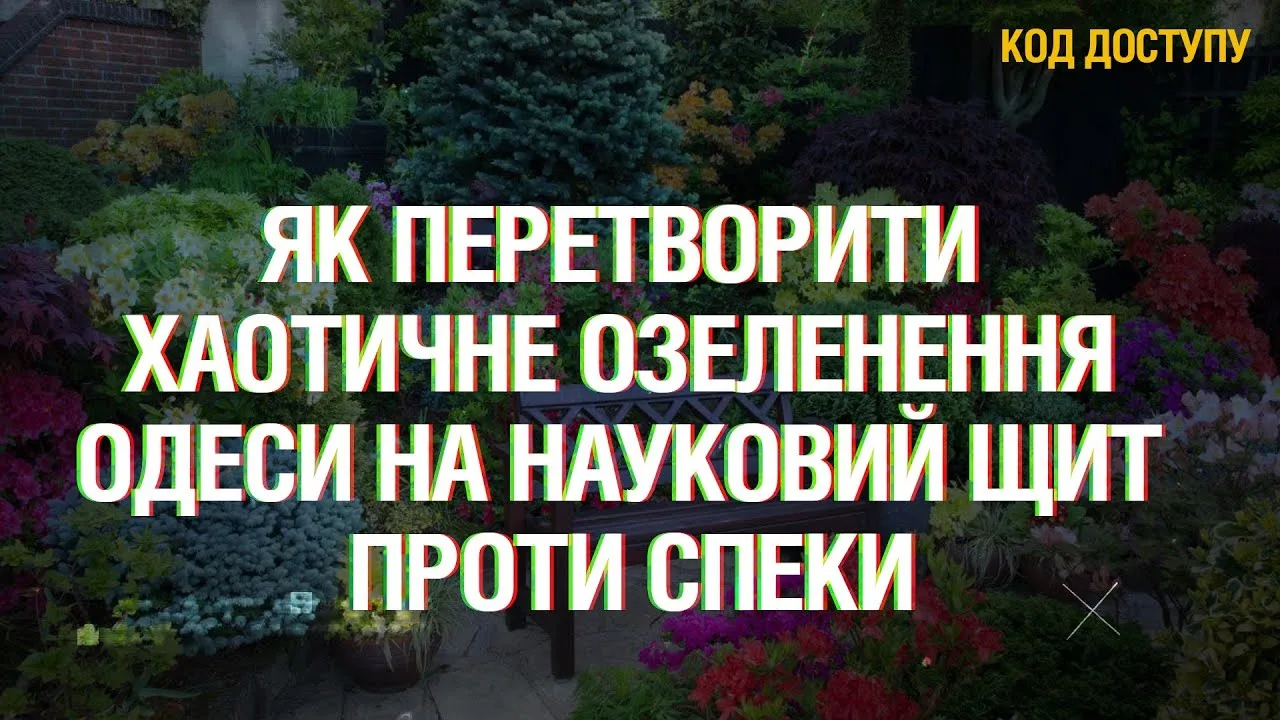 Осіння толока чи гроші на вітер? Як перетворити хаотичне озеленення Одеси на щит проти спеки