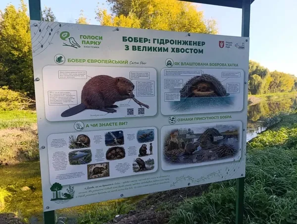 У Луцьку відкрили незвичайну екостежку: у парку можна почути голоси птахів, кажанів і бобрів (фото)