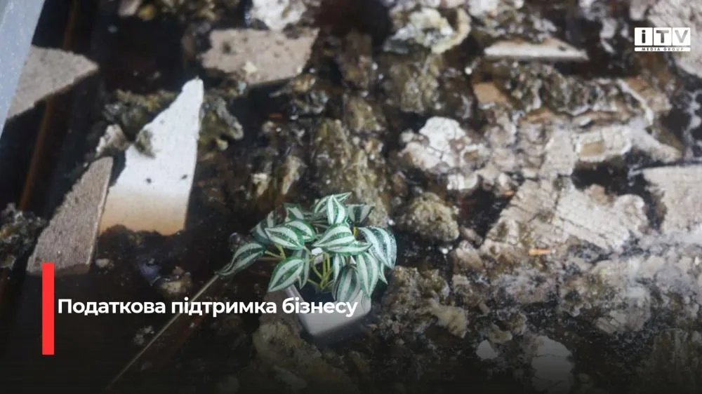 Підприємцям Рівненщини, які постраждали від війни, нагадали, куди звертатися за податковою підтримкою