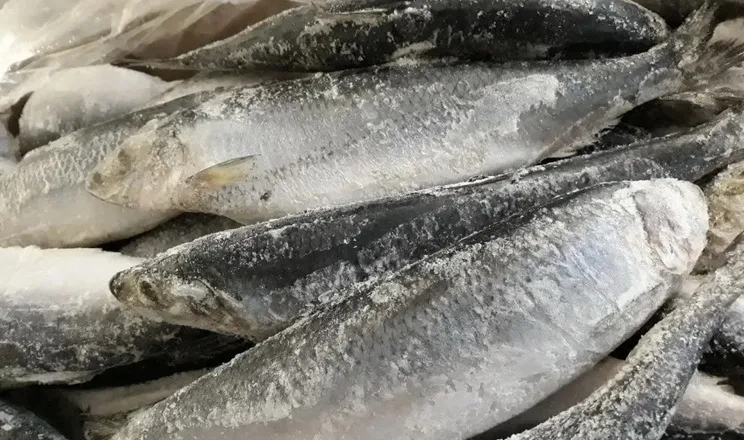 За рік морожена риба подорожчала на 30,4%
