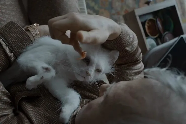 диггер